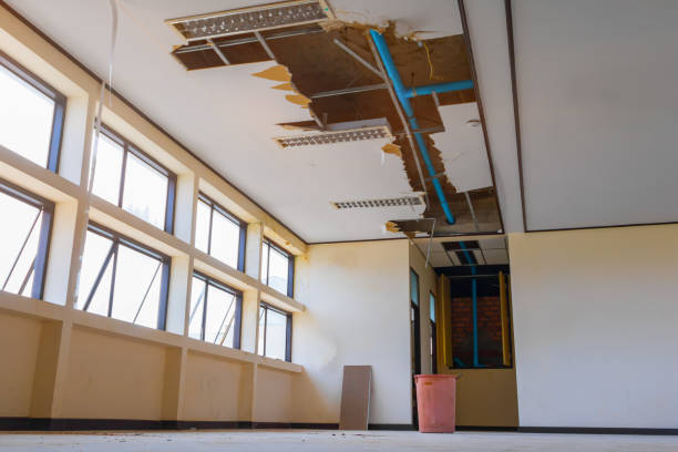 Best Professional water damage repair  in Panaca, NV