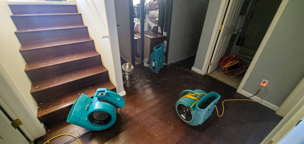 Best Local water damage restoration  in Panaca, NV