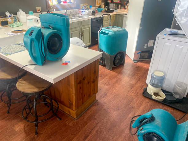 Best Water damage restoration near me  in Panaca, NV