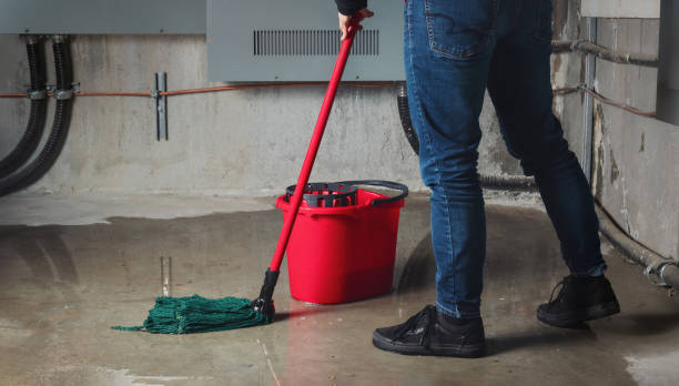 Best 24/7 water damage repair  in Panaca, NV