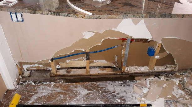 Best Commercial water damage restoration  in Panaca, NV