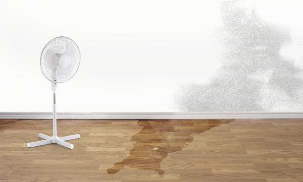 Carpet water damage restoration in Panaca, NV