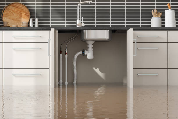 Best Water damage restoration near me  in Panaca, NV