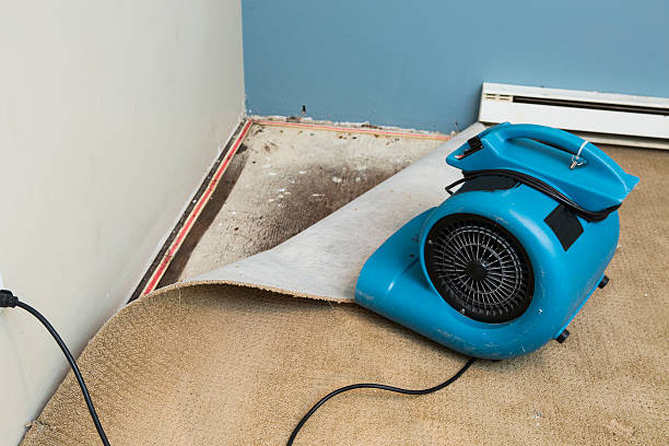 Water damage restoration mold remediation in Panaca, NV